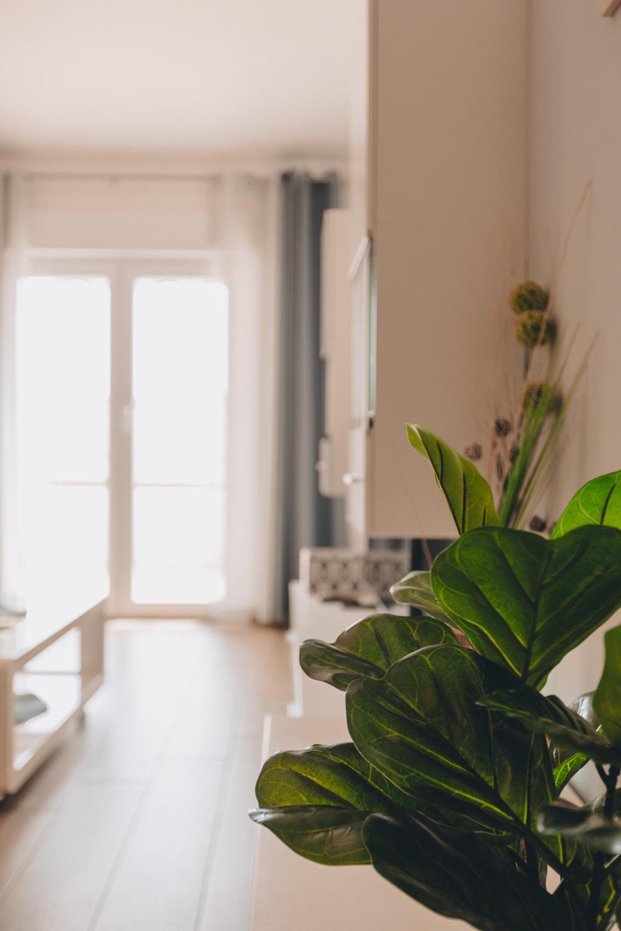 Apartment Neda Đảo Krk Ngoại thất bức ảnh